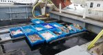 Las barcas de arrastre de Dnia pescaron 6.000 kilos de plstico en el mar en 2018