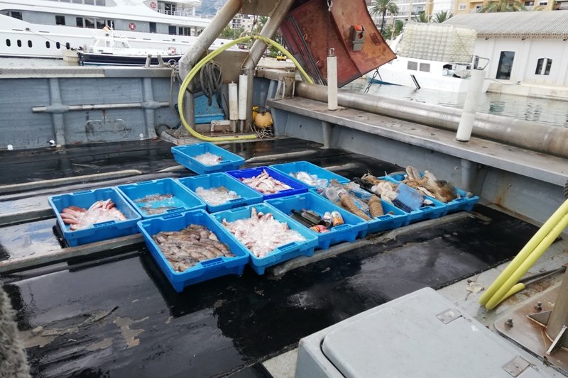 Las barcas de arrastre de Dnia pescaron 6.000 kilos de plstico en el mar en 2018