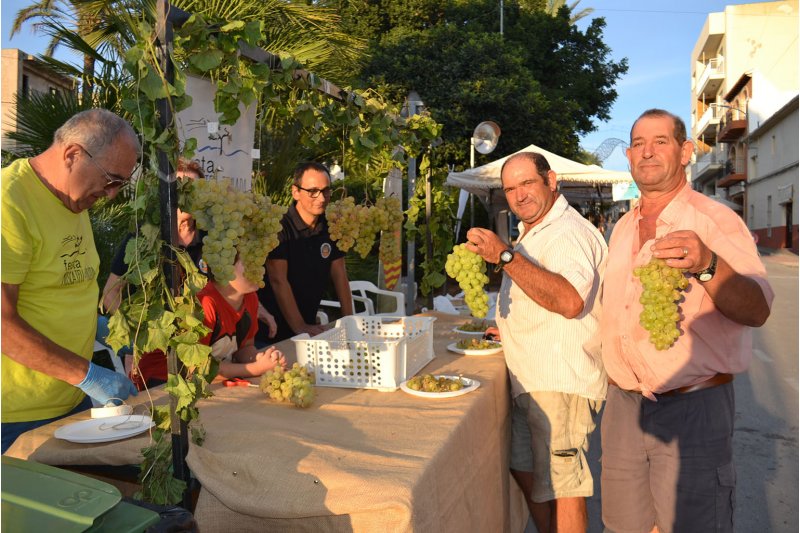 Antonio Bertomeu y Pepe Pura ganan el concurso de uva de la Fiesta del Moscatel de Teulada