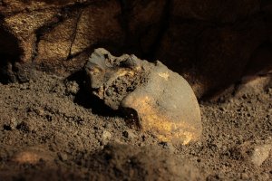 Descobreixen un crani complet de 5.000 anys d’antiguitat a la Cova del Randero