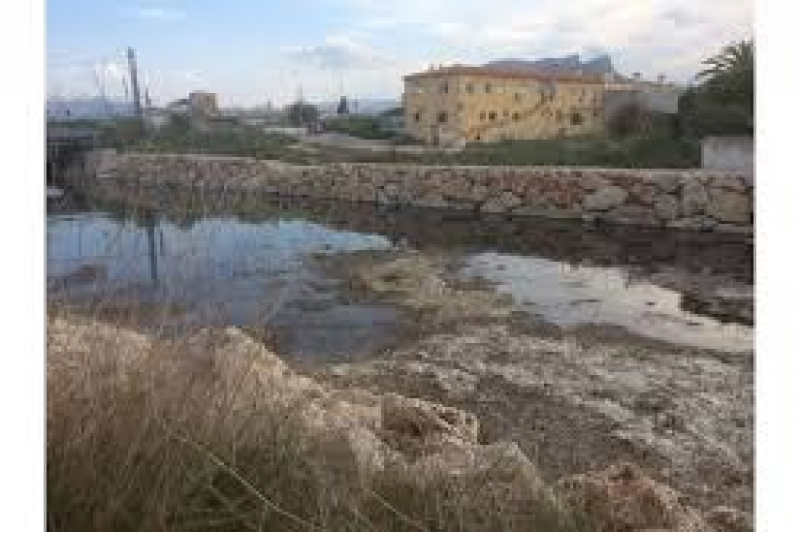 Los ayuntamientos de Dnia y Els Poblets harn obras para evitar que las algas se acumulen en la desembocadura del Girona