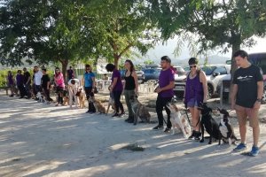 L’Ajuntament de Pedreguer apropa l’educació canina als centres educatius 