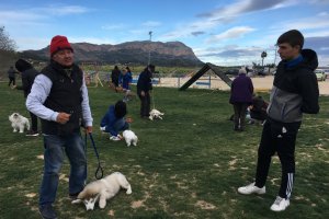Unes jornades a Pedreguer ofereixen pautes per ensinistrar les críes de gossos 