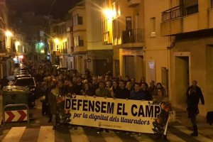 La comarca reclama la defensa de la taronja valenciana a Pego, Ondara i Pedreguer