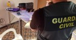 La Guardia Civil investiga a 17 personas por robos de algarroba en la Marina Alta