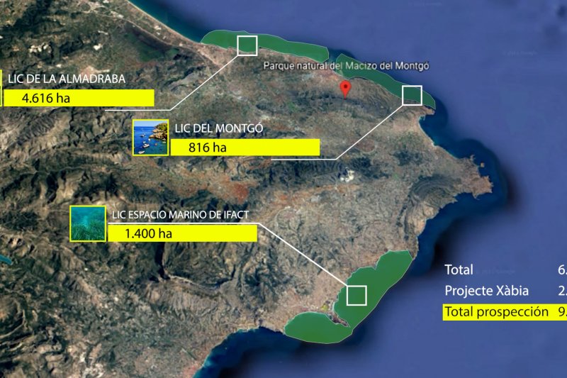 La Marina Alta tiene 7.000 hectáreas de praderas de Posidonia oceánica 