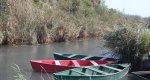 El Ayuntamiento de Pego recupera los paseos en barca por la marjal durante las tardes de verano