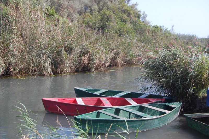 El Ayuntamiento de Pego recupera los paseos en barca por la marjal durante las tardes de verano