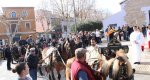 La festa de Sant Antoni a Ondara beneeix a més de quatre-centes mascotes