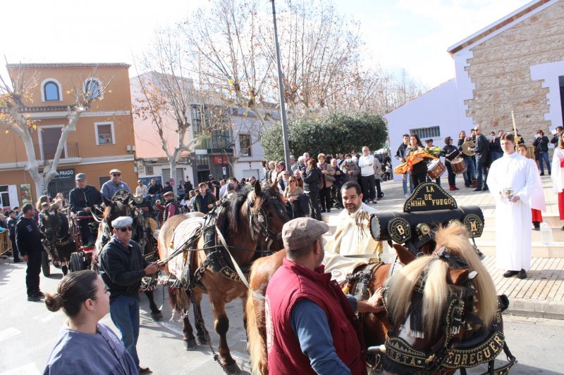 La festa de Sant Antoni a Ondara beneeix a més de quatre-centes mascotes