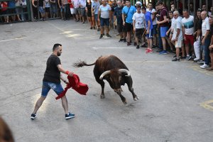 La Subdelegació del Govern dóna permís per fer la manifestació contra els bous al carrer aquest diumenge a Pedreguer
