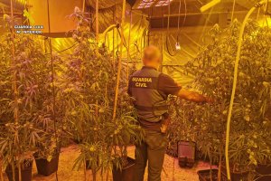 La Guàrdia Civil localitza una plantació de marihuana en un xalet de Calp