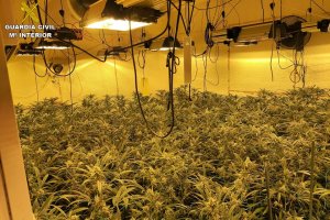 La Guàrdia Civil desmantella tres plantacions de marihuana tipus indoor en urbanitzacions de luxe de Calp