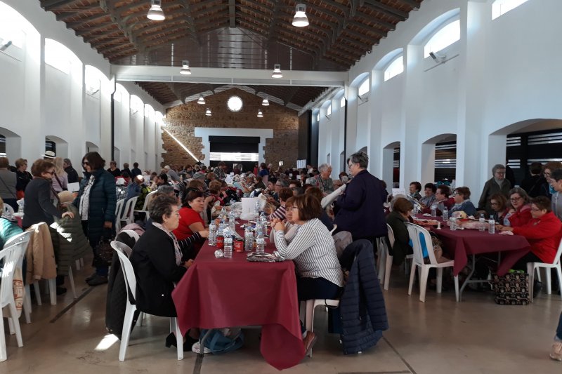 La trobada de boixets 2019 reuneix a ms de dos-cents participants a Ondara