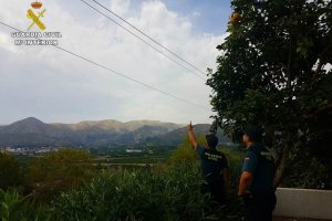 La Guardia Civil salva la vida a un hombre electrocutado en Pego