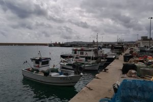 La pesca a Xàbia reprén l'activitat amb serveis mínims per a proveir la demanda de proximitat