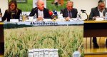 Vinos Alicante DOP apoya la recuperacin del arroz bombn de Pego