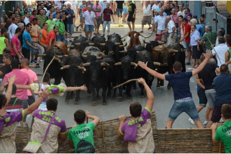 Es filtra per les xarxes la suspensi de les Festes de Juliol de Pedreguer i l'Ajuntament ho fa oficial