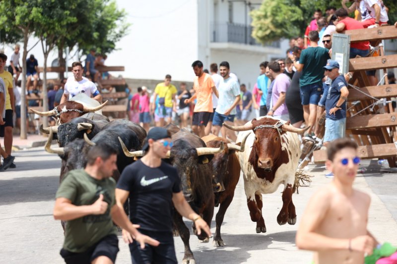 Benavent guanya el concurs de ramaderies del bous al carrer de Fogueres de Xàbia