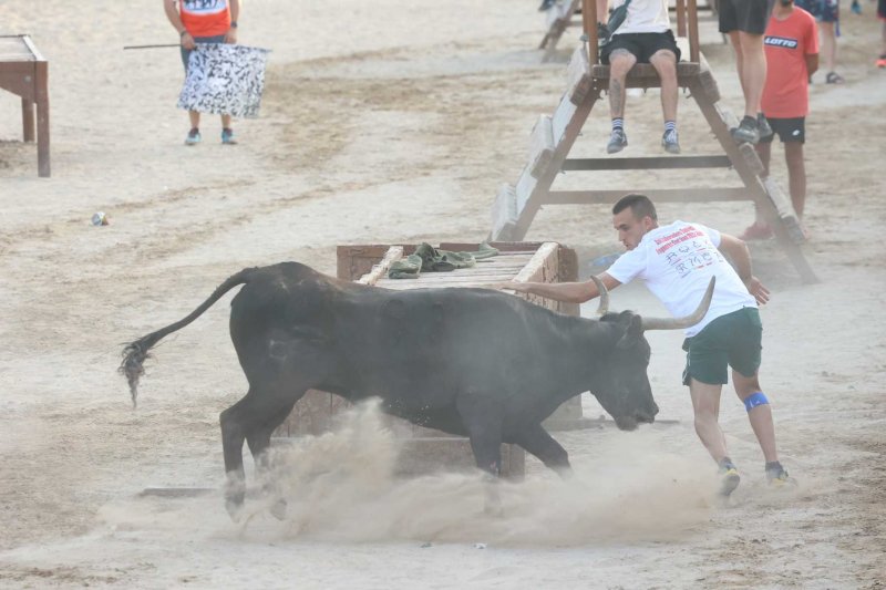 Sevillano passa per Xàbia amb més pena que glòria, però Machancoses arregla l’última vesprada de bous al carrer de Fogueres